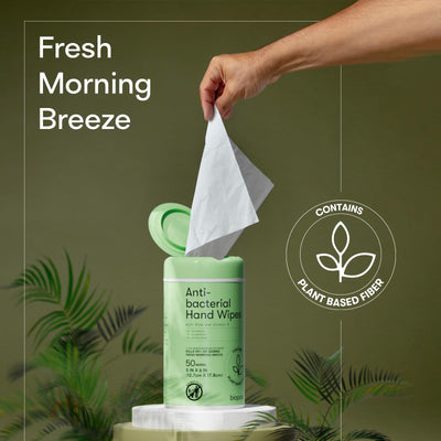 Biopure Antibacterial Hand Wipes |